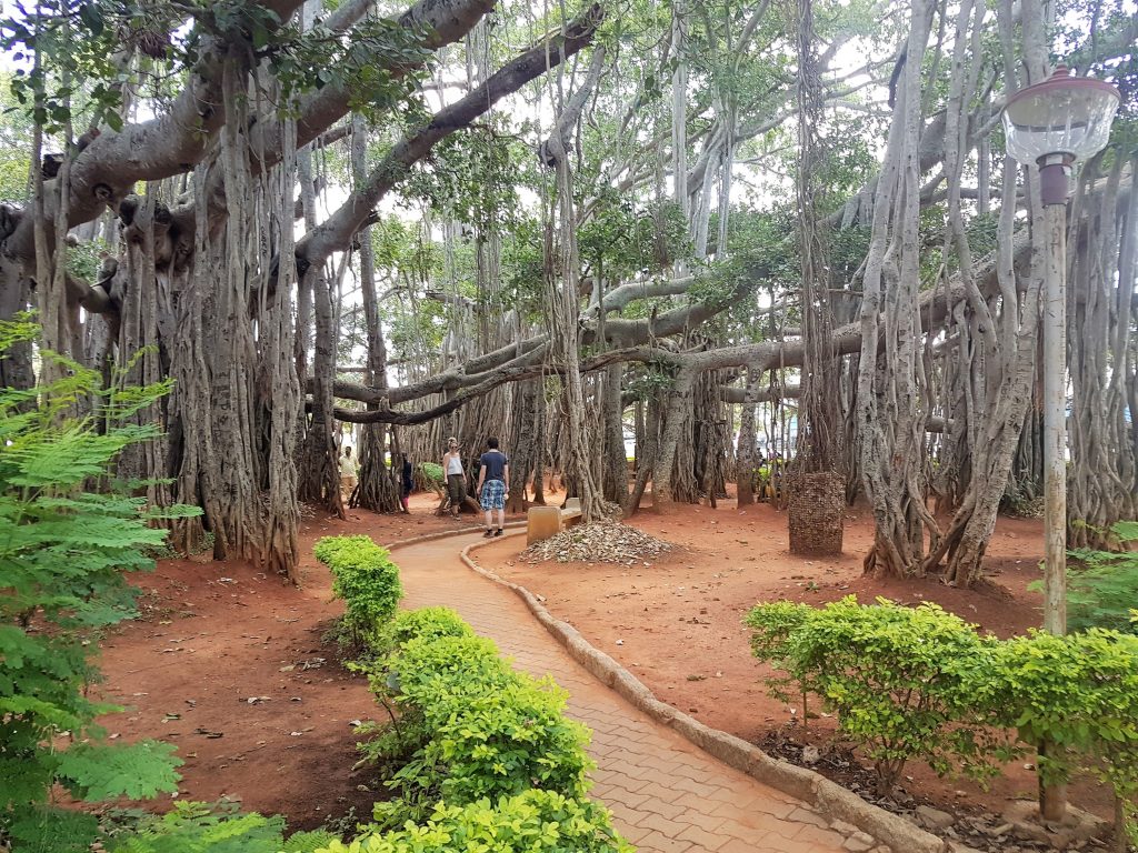 one day trip plan from bangalore