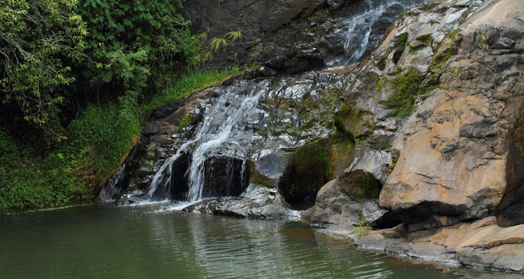 Must visit places in Chickmagalur