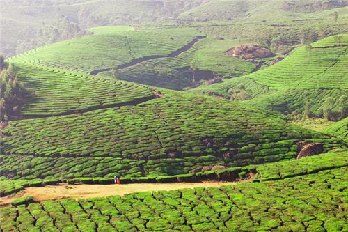 Must visit places in Chickmagalur